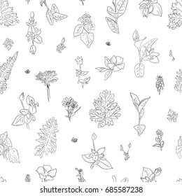 Herbs flower graphic seamless pattern hand drawn graphic texture background, sketch black on white for wallpaper, textile, design packaging, wedding card