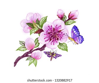 Herbs, flowers and butterfly, hand drawn vector illustration