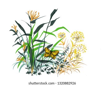 Herbs, flowers and butterfly, hand drawn vector illustration