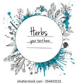 Herbs and flowers painted black line. Space for text. Vector drawing. Template with a sketch of herbs.