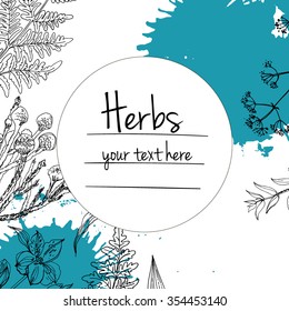 Herbs and flowers painted black line. Space for text. Vector drawing. Template with a sketch of herbs.