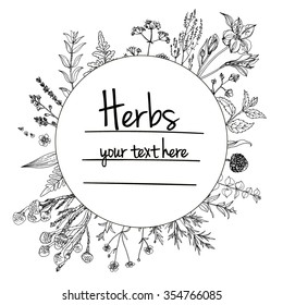 Herbs and flowers painted black line. Space for text. Vector drawing. Template with a sketch of herbs.
