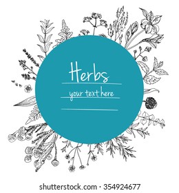 Herbs and flowers painted black line. Space for text. Vector drawing. Template with a sketch of herbs.