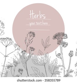 Herbs and flowers painted black line. Space for text. Vector drawing. Template with a sketch of herbs.