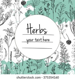 Herbs and flowers painted black line. Space for text. Vector drawing. Template with a sketch of herbs.