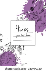 Herbs and flowers painted black line. Space for text. Vector drawing. Template with a sketch of herbs.