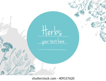 Herbs and flowers painted black line. Space for text. Vector drawing. Template with a sketch of herbs.