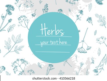 Herbs and flowers painted black line. Space for text. Vector drawing. Template with a sketch of herbs.