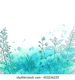 Herbs and flowers painted color line. Space for text. Vector drawing. Abstract watercolor