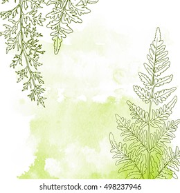 Herbs and flowers painted color line. Space for text. Vector drawing. Abstract watercolor