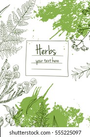 Herbs and flowers painted green line. Space for text. Vector drawing. Template with a sketch of herbs. Green color