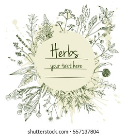 Herbs and flowers painted green line. Space for text. Vector drawing. Template with a sketch of herbs. Green color
