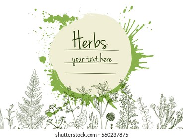 Herbs and flowers painted green line. Space for text. Vector drawing. Template with a sketch of herbs. Green color