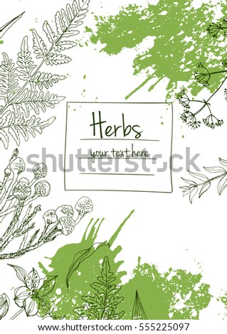 Herbs and flowers painted green line. Space for text. Vector drawing. Template with a sketch of herbs. Green color