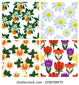 Herbs and flowers. Seamless pattern set