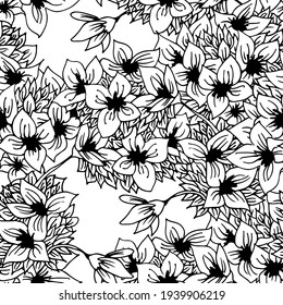 Hierbas y flores sin soldadura vectorial, aisladas en fondo blanco