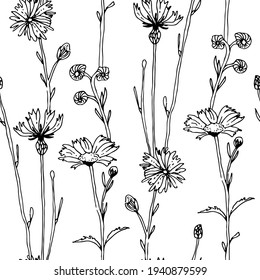 Herbs and flowers seamless vector pattern, isolated on white background