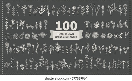 Herbs and flowers. Various cute decorative flowers, leaves and herbs painted by hand. Vector set.