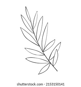 Herbs and forest plants. A large branch with leaves, a simple botanical pattern for cards and invitations