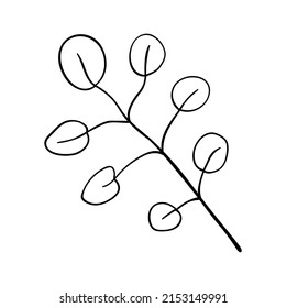 Herbs and forest plants. Twig large with round leaves, simple botanical silhouette drawing for cards and invitations