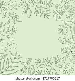 Herbs frame with place for text. Hand drawn sketches. Design for herbal tea, natural cosmetics, soap, perfume, health care products. Vintage vector illustration.