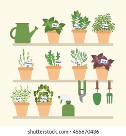 Herbs garden collection. Home gardening illustration.