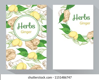 Herbs Ginger vertical banners, round ginger root and ginger leaves frame, vector illustration, line art decorative Ginger for design cosmetic, natural medicine, herbal tea, food menu. 