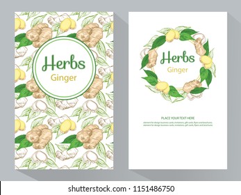 Herbs Ginger vertical banners, round ginger root and ginger leaves frame, vector illustration, line art decorative Ginger for design cosmetic, natural medicine, herbal tea, food menu. 