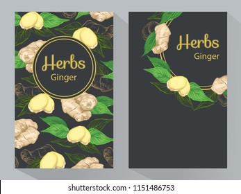 Herbs Ginger vertical banners, round ginger root and ginger leaves frame, vector illustration, line art decorative Ginger for design cosmetic, natural medicine, herbal tea, food menu. 