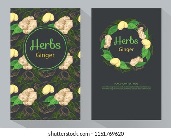 Herbs Ginger vertical banners, round ginger root and ginger leaves frame, vector illustration, line art decorative Ginger for design cosmetic, natural medicine, herbal tea, food menu. 