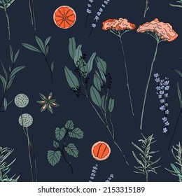 Herbs hand drawn background. Seamless pattern with drumstick flower, rosemary and lavander, orange, yarrow, mint plant, anise on dark blue background.  Decorative illustration, good for printing.
