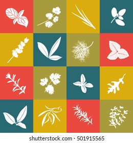 Herbs hand drawn vector squared icon big set. Popular culinary herbs. Basil, coriander, arugula, marjoram, mint, bay leaves, savory, rosemary, sage tarragon thyme parsley oregano dill lavender chives