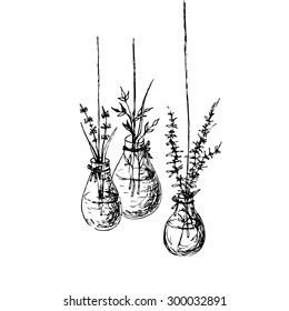 Herbs in hanging vases ink drawing. Hand drawn fast sketch with basil, hyssop and oregano in upcycled light bulb with water. Idea for Summer kitchen. Doodle style. Vector file is EPS8.