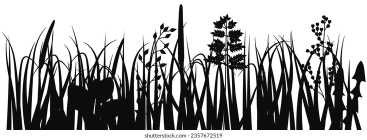 Herbs horizontal border. Meadow botany grass silhouette