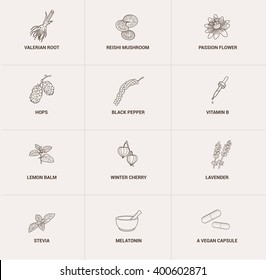 herbs icons set
