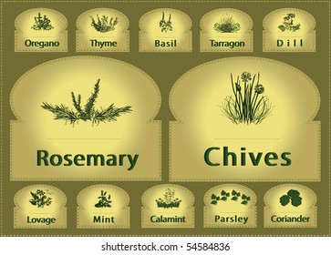 herbs label spice