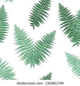 Ervas e folhas Botânicas sem emenda padrão. Folha de samambaia Fundo natural. Floresta floral plantas de campo projeto para papel de parede imprimir decoração tropical. Ilustração vetorial