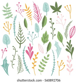 Herbs and leaves. Hand drawn vector botany set. Vintage spring and summer seasonal decor