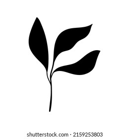 Hierbas y hojas. Tres siluetas de ramas de hojas. Para tarjetas, invitaciones patrón botánico
