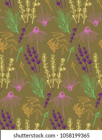 Herbs and medicinal plants collection seamless pattern.