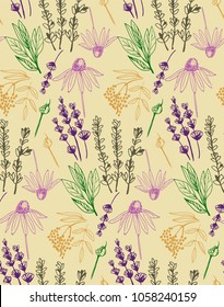 Herbs and medicinal plants collection seamless pattern.