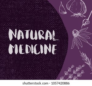 Herbs and medicinal plants collection. Vector hand drawn isolated objects on white