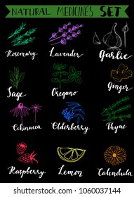 Herbs and medicinal plants collection. Vector hand drawn isolated objects on white