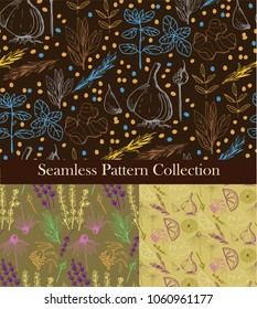 Herbs and medicinal plants seamless patterns