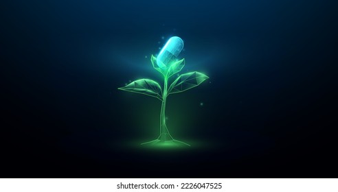 Herbs with medicine capsule. Biotechnology, medicine, science concept. 3D low polygon and Wireframe model design. Vector illustration