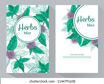 Herbs Mint vertical banners, vector illustration, line art decorative mint for design cosmetic, natural medicine, herbal tea, food menu. 
