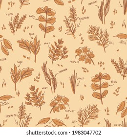 Herbs pattern - hand-drawn childish vector seamless pattern - for kitchen  fabric, wrapping, textile, wallpaper, background.