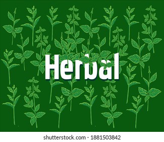 Herbs for Pattern, The Useful Plants for Health Great for Food Books