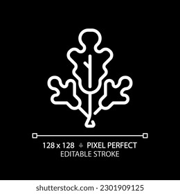 Herbs pixel perfect white linear icon for dark theme. Plant food. Organic product. Healthy lifestyle. Natural seasoning. Thin line illustration. Isolated symbol for night mode. Editable stroke