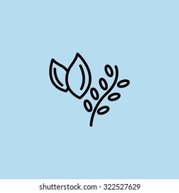 herbs, plant food icon